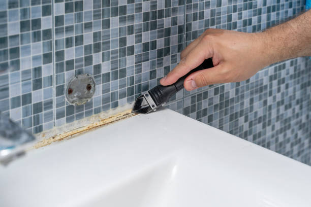 Hull, IA Mold Removal Company
