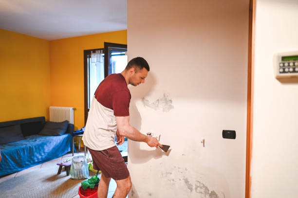 Best Mold Removal Near Me  in Hull, IA